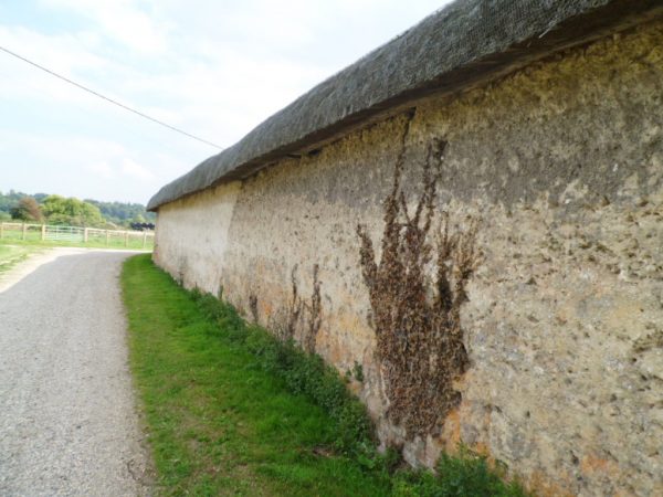 19c chalk cob wall before repair