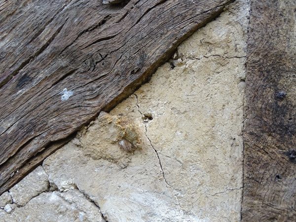 Wattle daub panels before repair