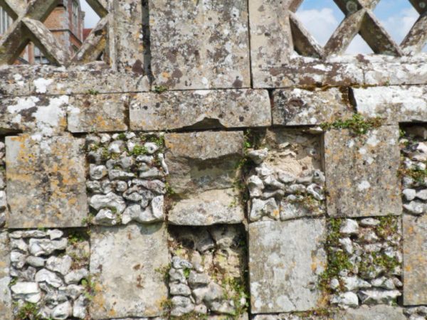 Decaying Flint Stone
