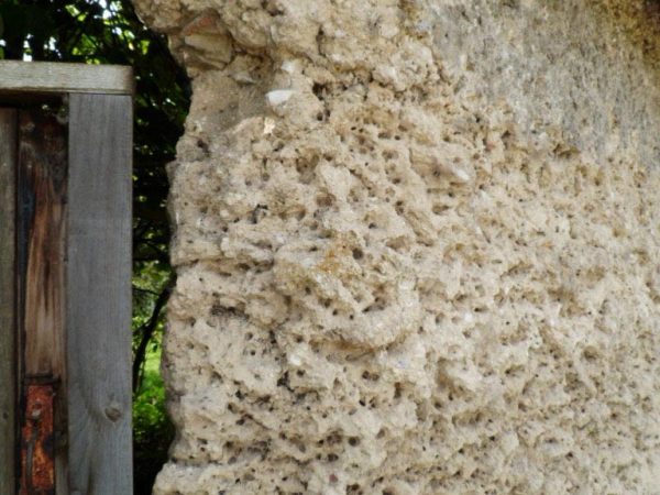 Hampshire chalk cob boundary wall beforerepairs