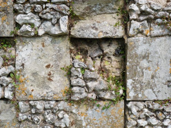 Decaying Flint Stone